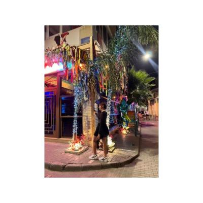 Un Encuentro Que No Olvidarás