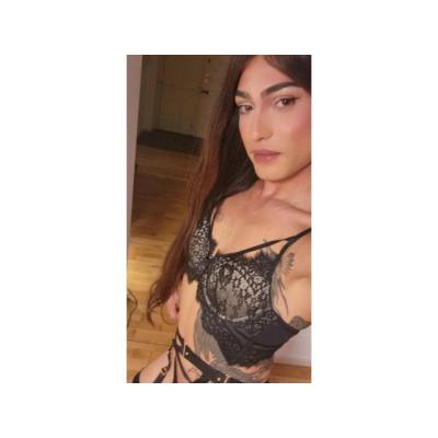 JESIKA VILK TRANS ACTIVA LLAMAME