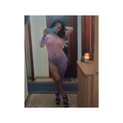 PALOMA MADURITA INDEPENDIENTE 2 VECES 40