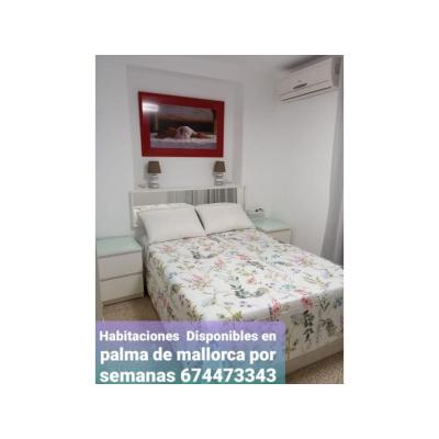 ELEGANTE Y DISCRETA EN PALMA