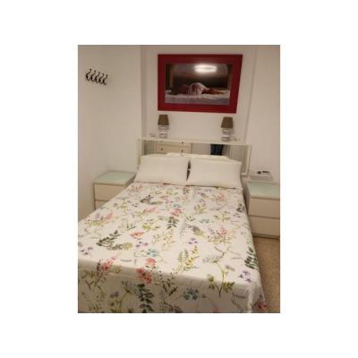 ELEGANTE Y DISCRETA EN PALMA