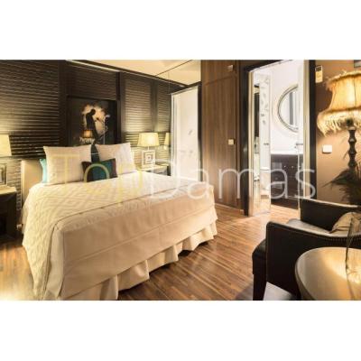 SUITE DE LUJO 1/h 35 €