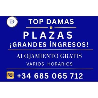 Plaza Gran Clientela y Lujosas Instalaciones